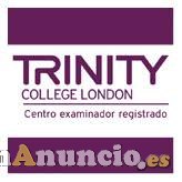 Curso Intensivo de verano Inglés B1, B2 y C1